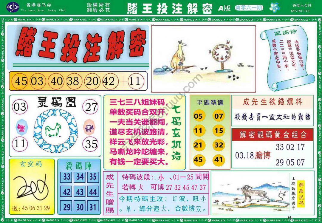 赌王投注解密