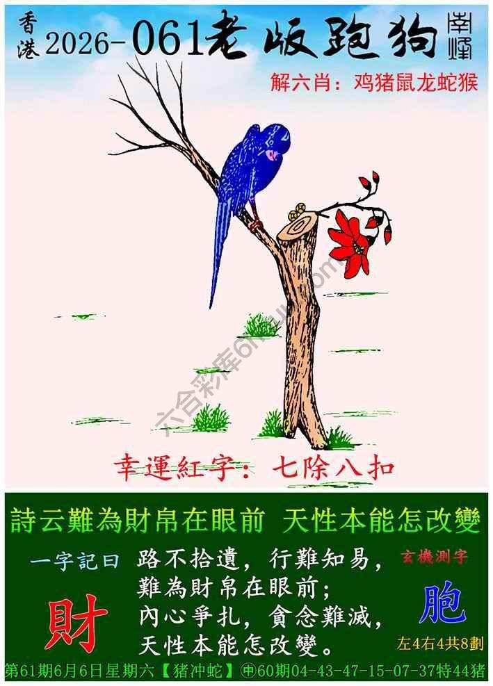 老版跑狗图