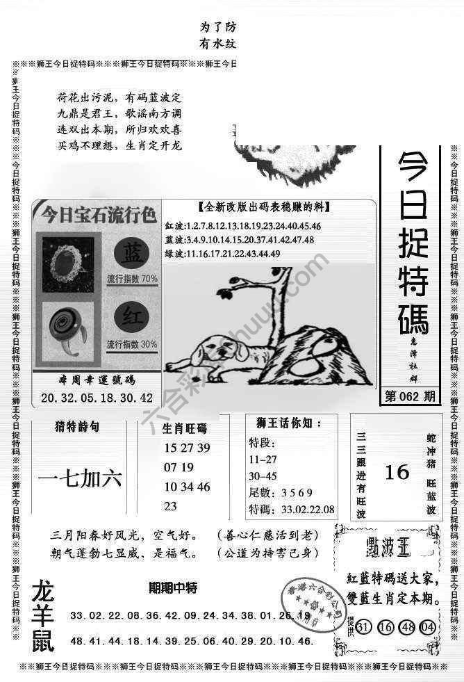 狮王今日抓特码