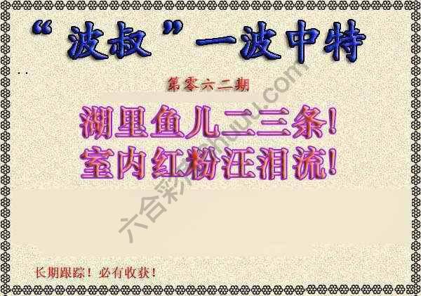 波叔一波中特