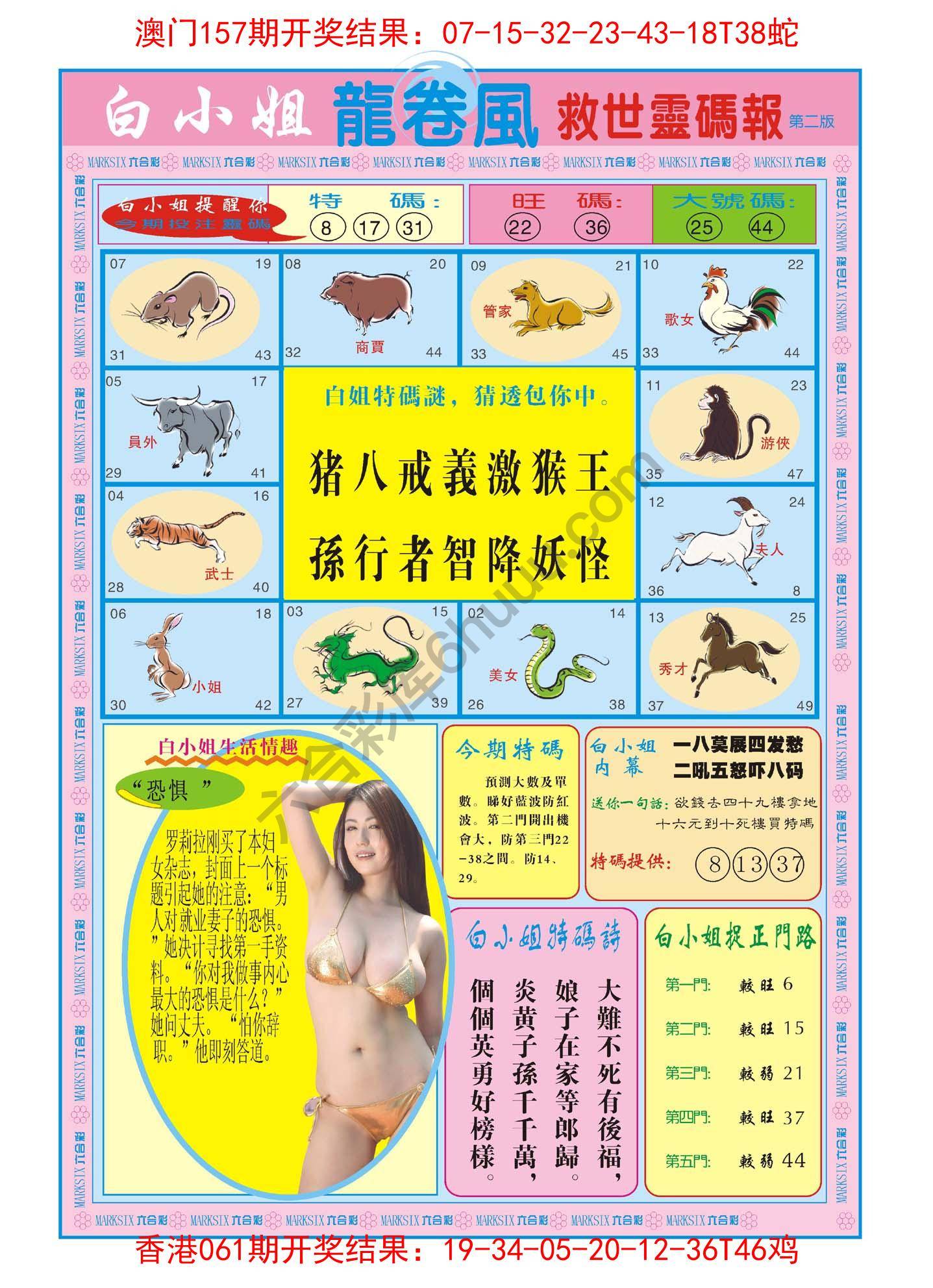 白小姐龙卷风