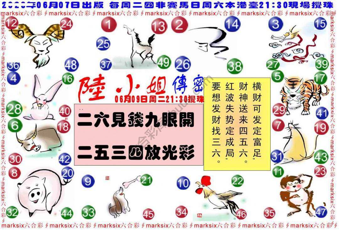 陆小姐传密