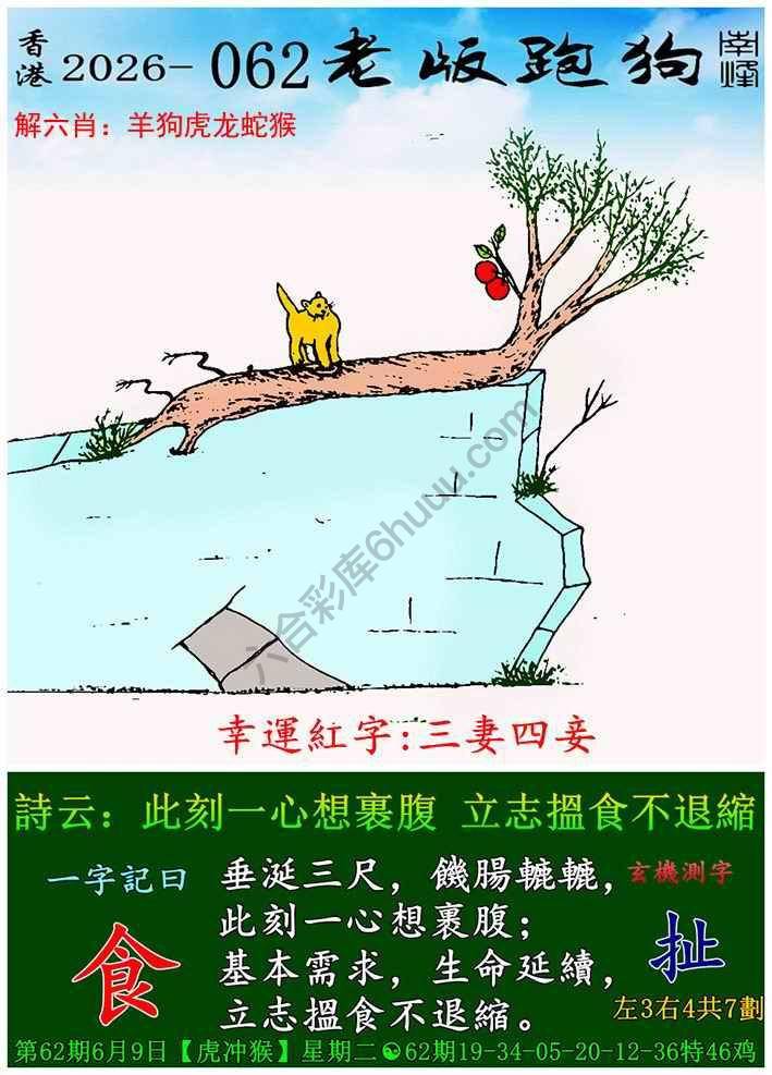 老版跑狗图