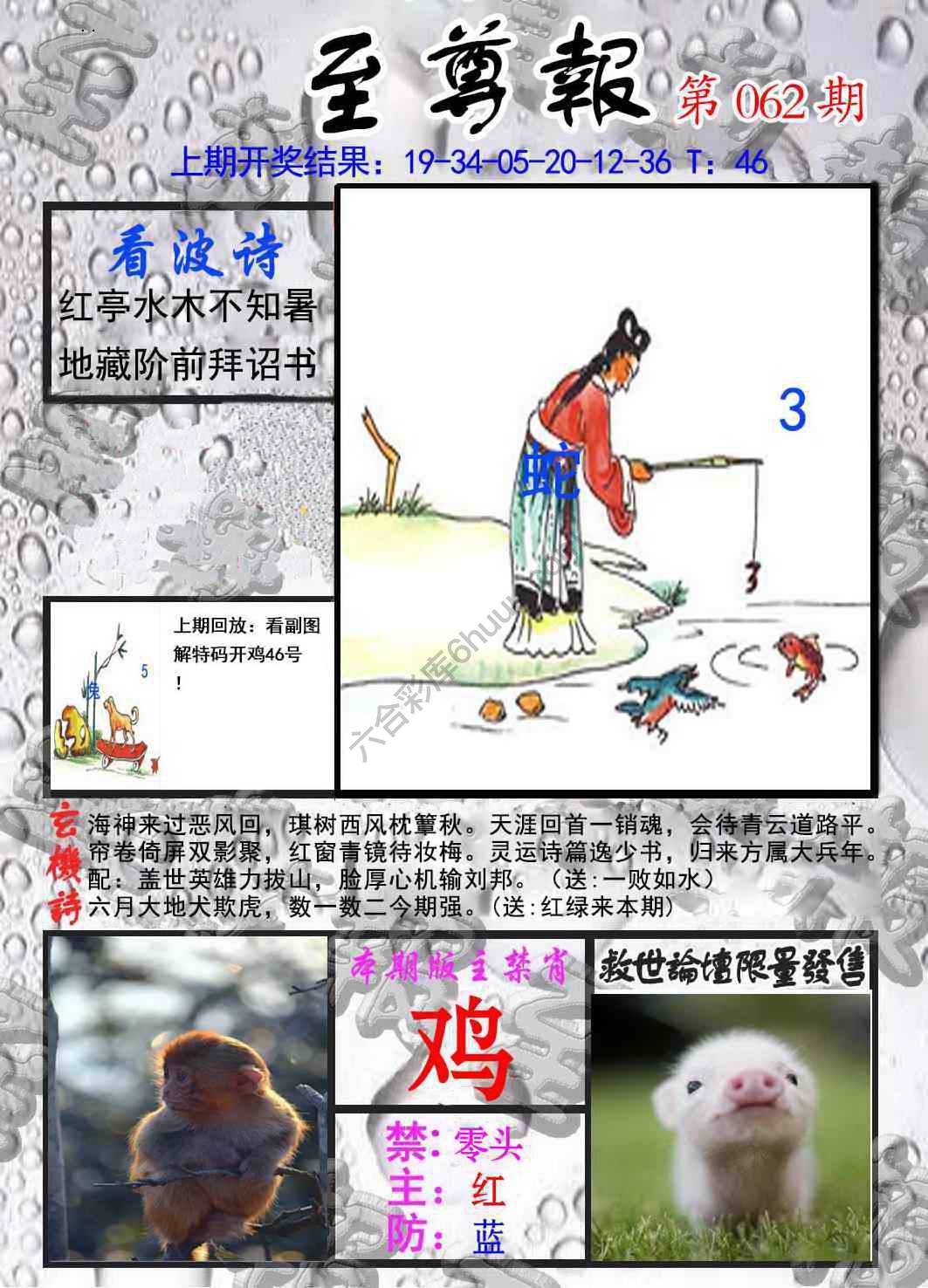 至尊报