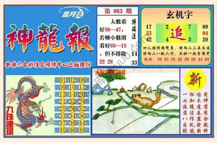 蓝月亮神龙报