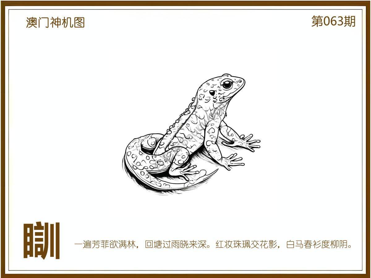 澳门神机图
