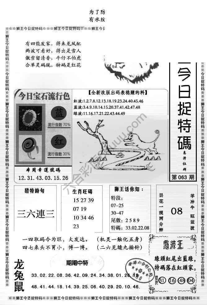 狮王今日抓特码
