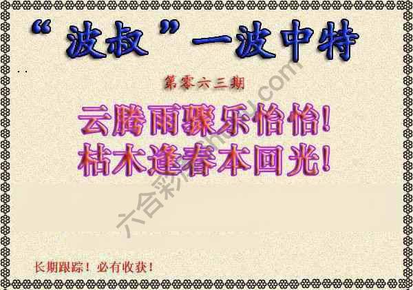 波叔一波中特