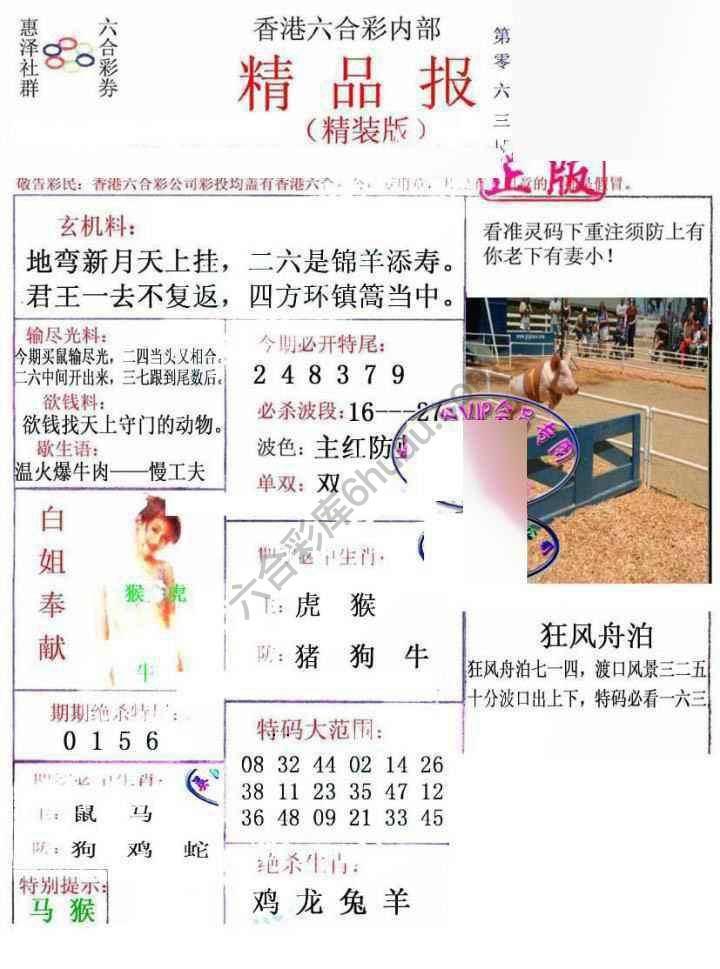 新精品报