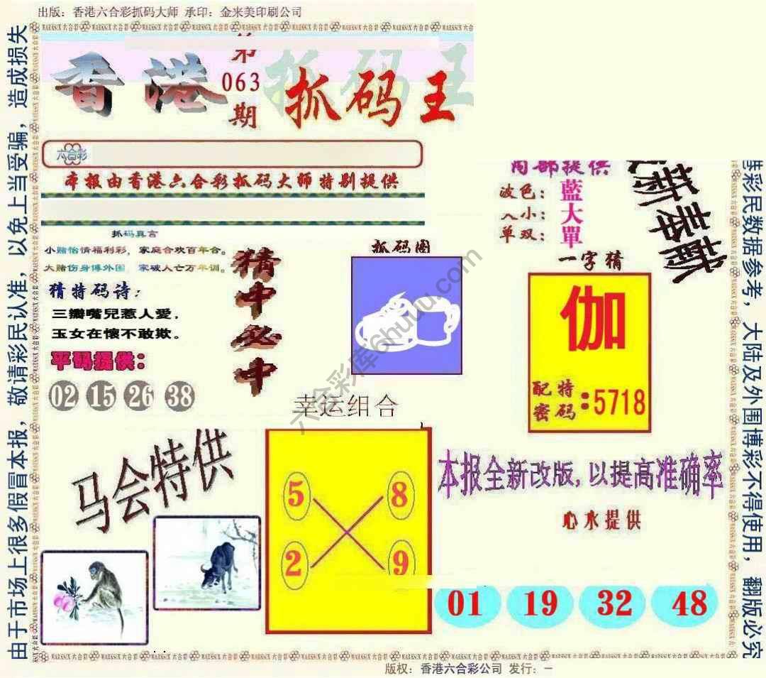 新抓码王