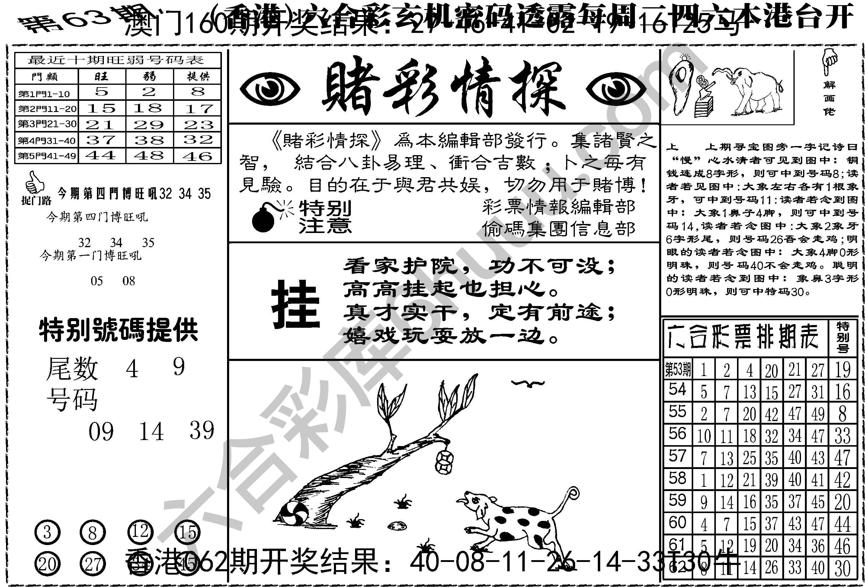 赌彩情探