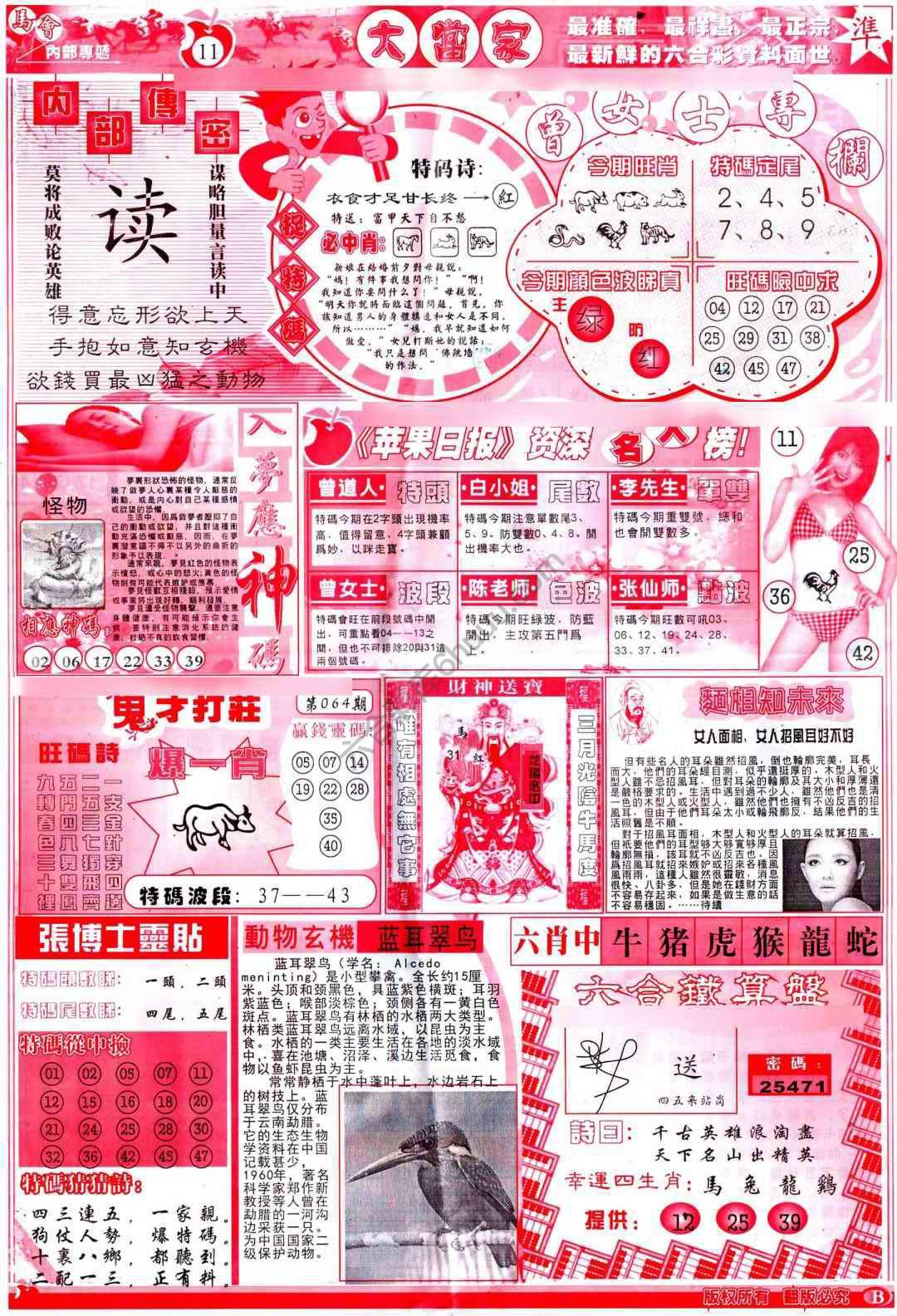 大当家