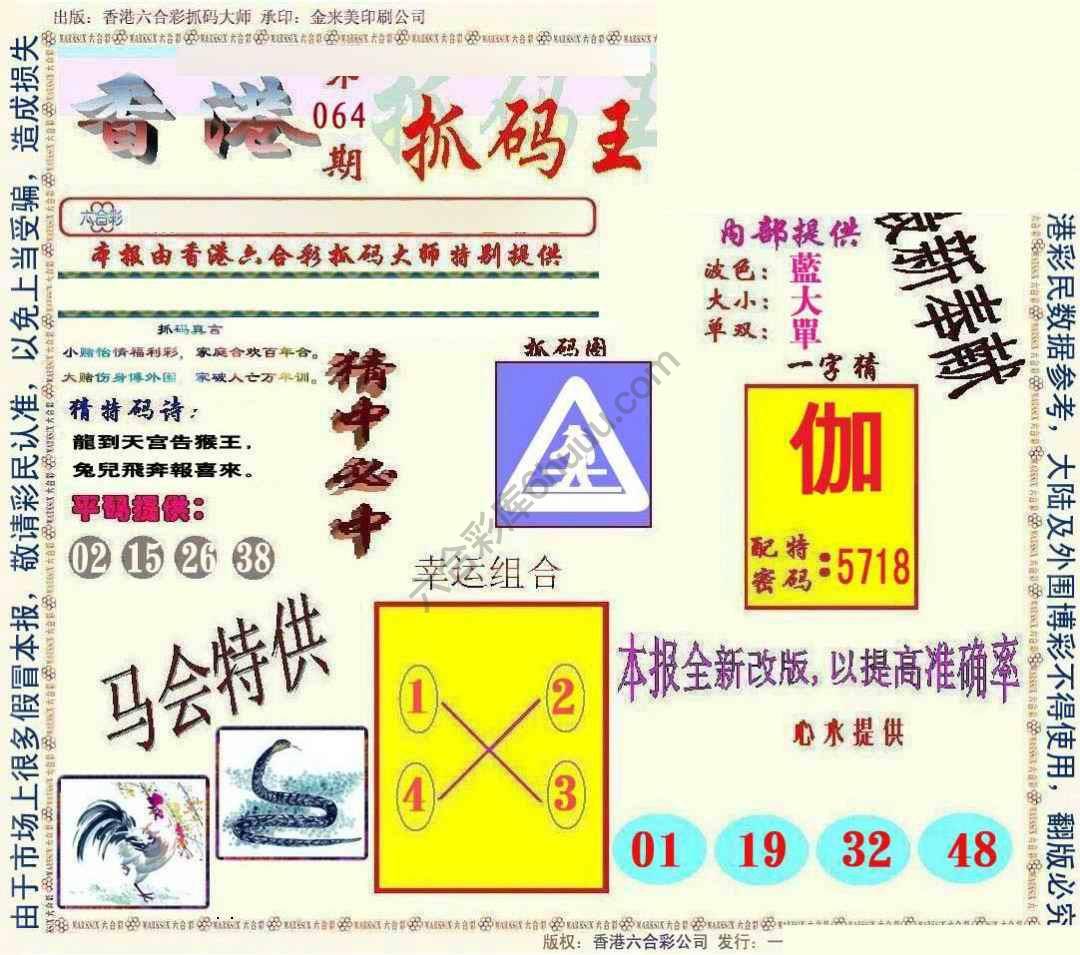 新抓码王