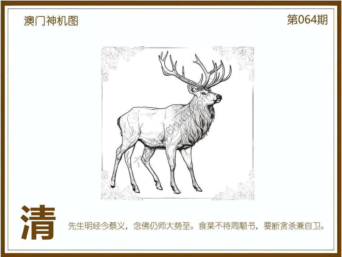 澳门神机图