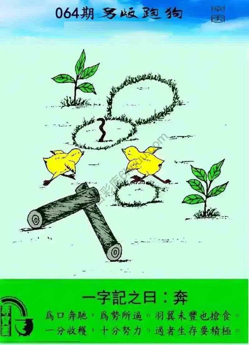 另版跑狗