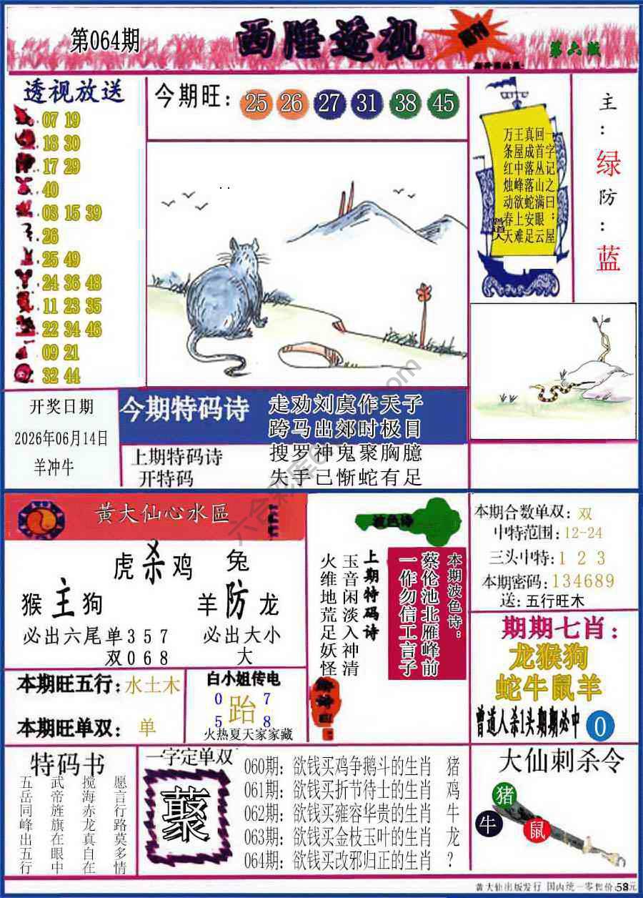 西陲透视（正版）