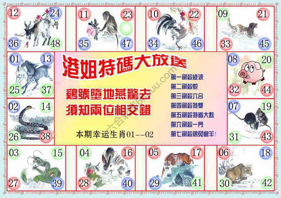 港姐密报
