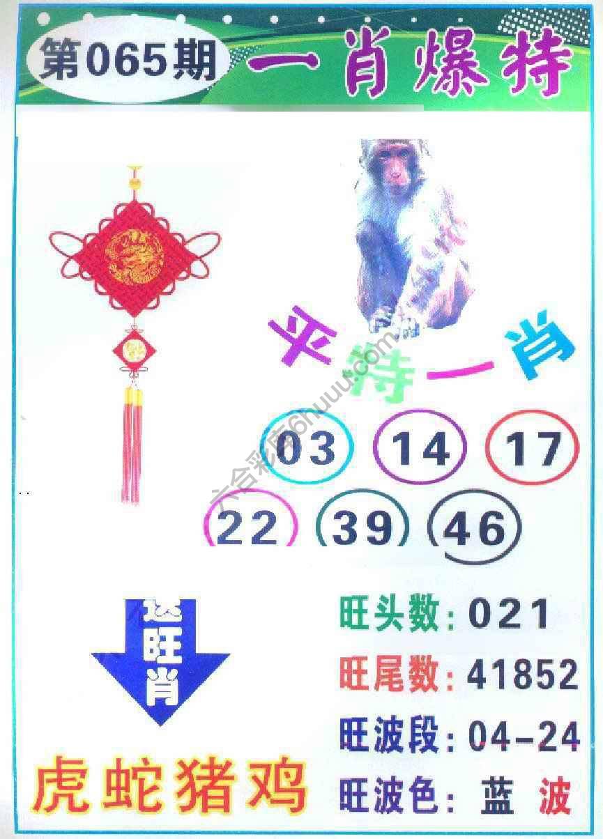 一肖爆特（新版）