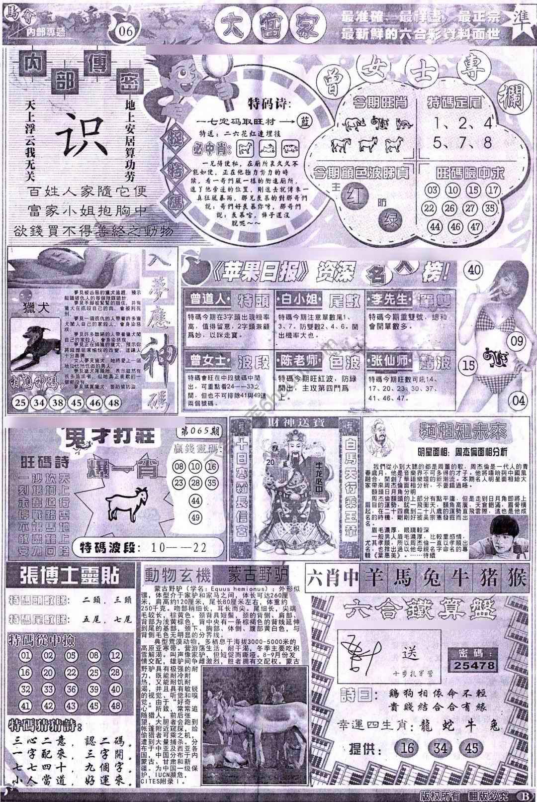 大当家