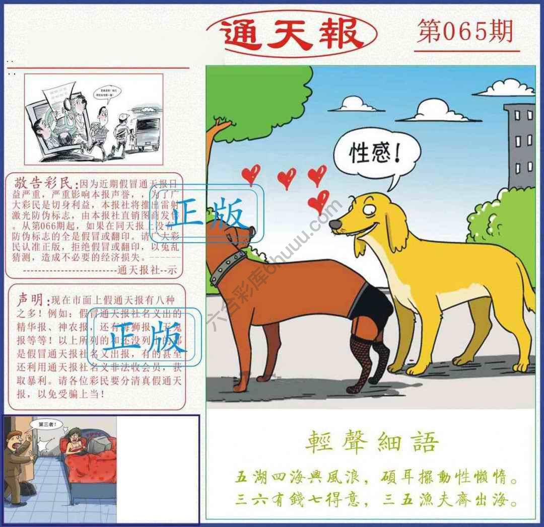 正版通天报