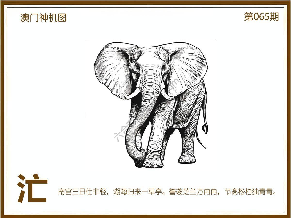 澳门神机图
