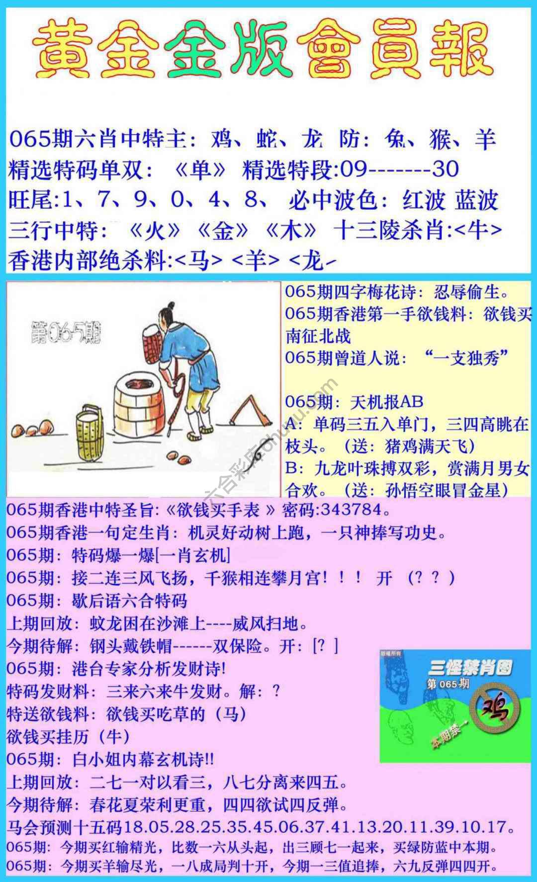 黄金金版会员报