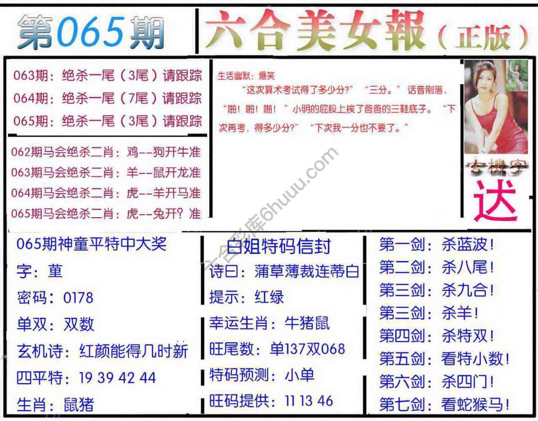 六合美女报