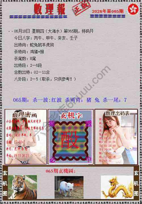 数理报