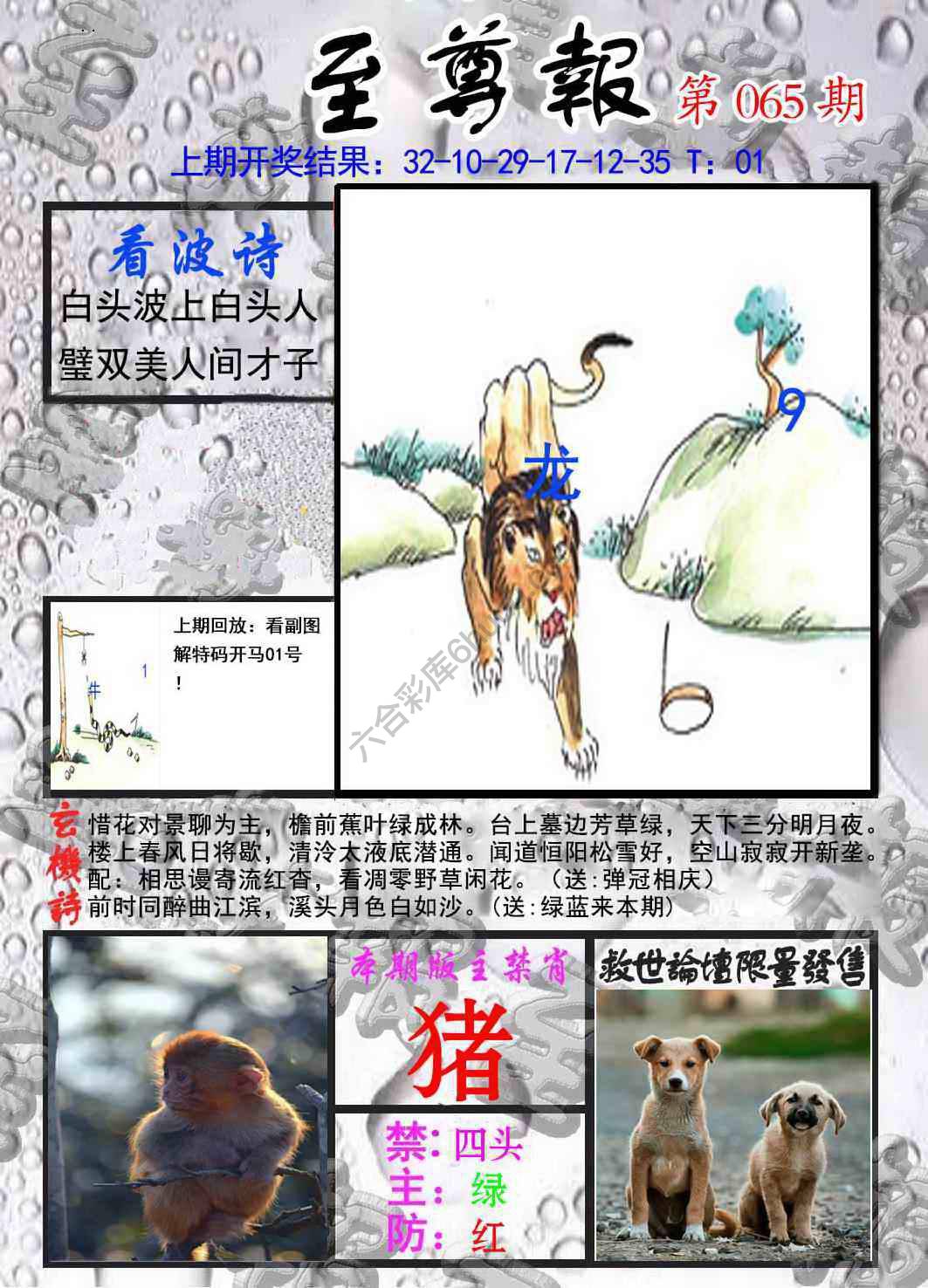 至尊报