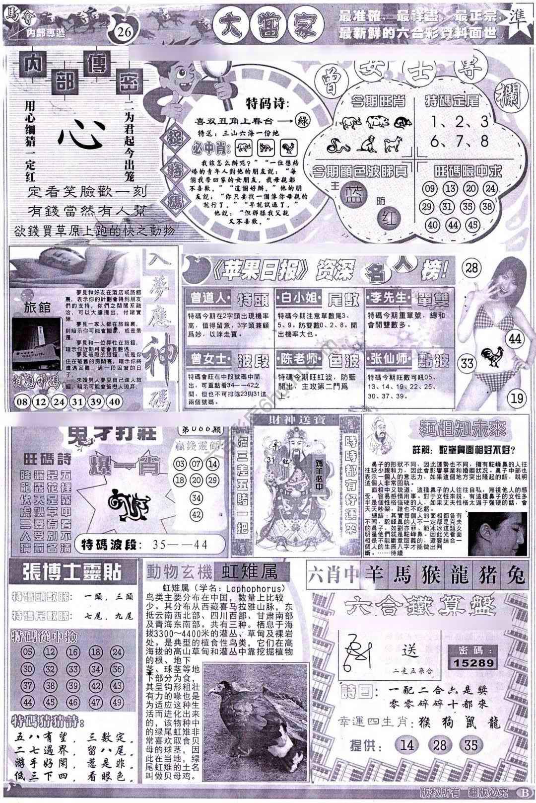 大当家