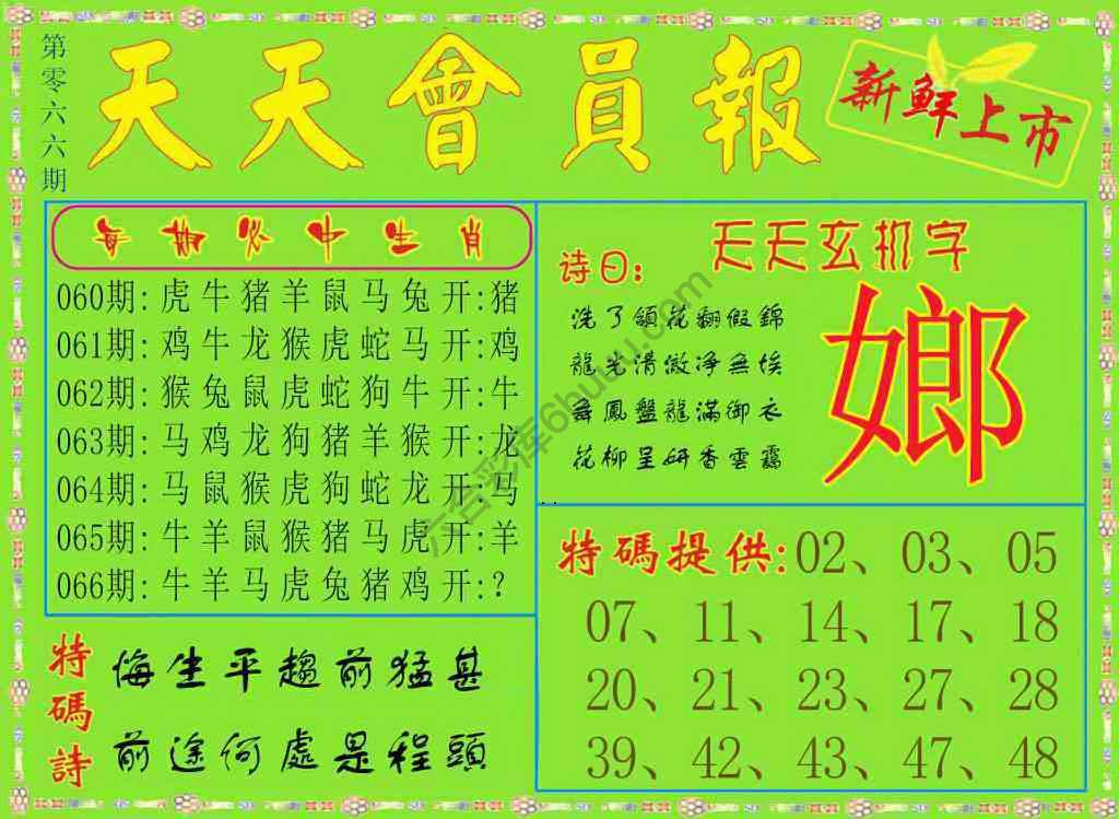 天天会员报