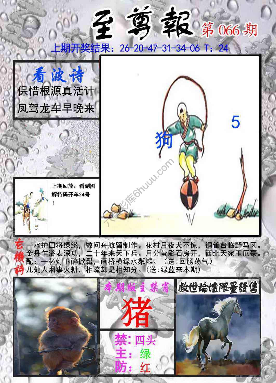 至尊报