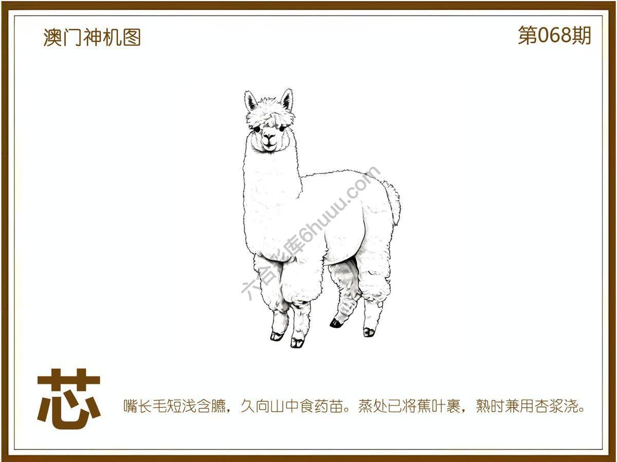 澳门神机图
