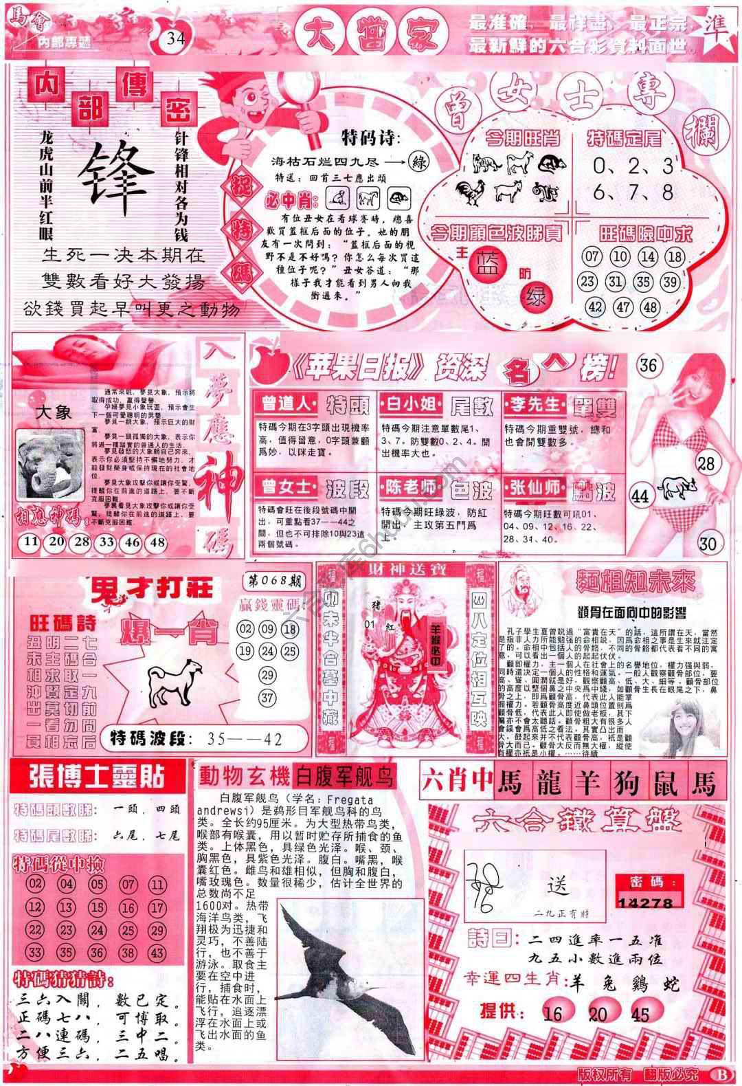 大当家