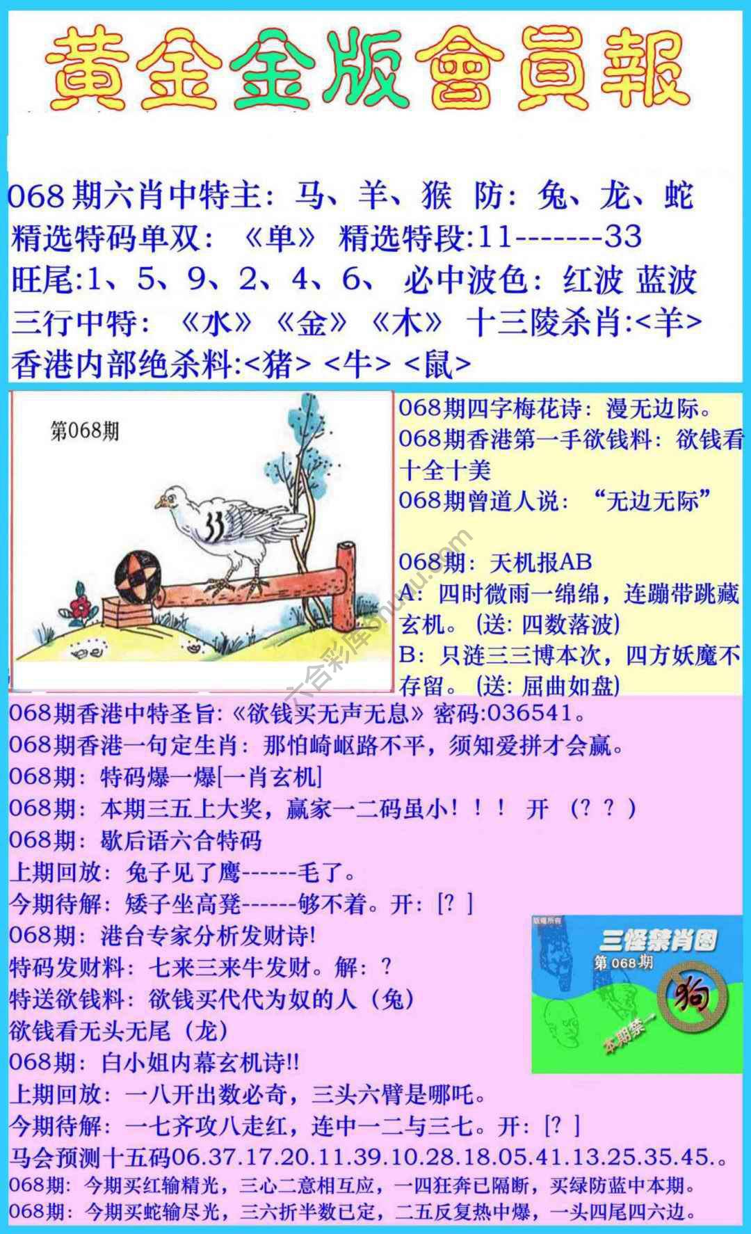 黄金金版会员报