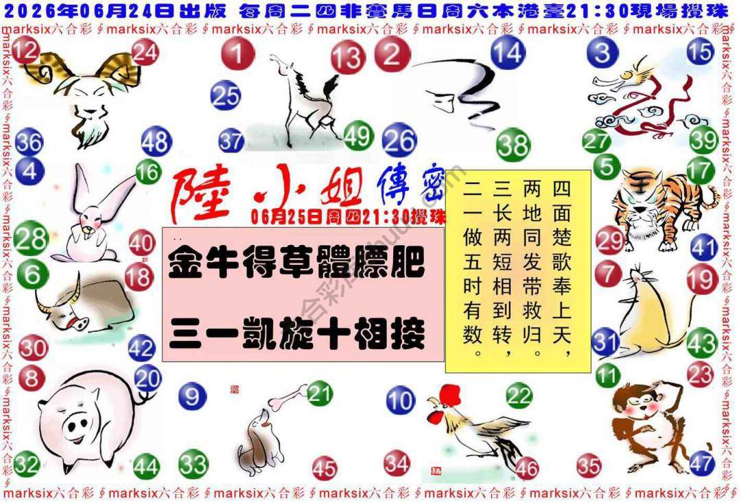 陆小姐传密