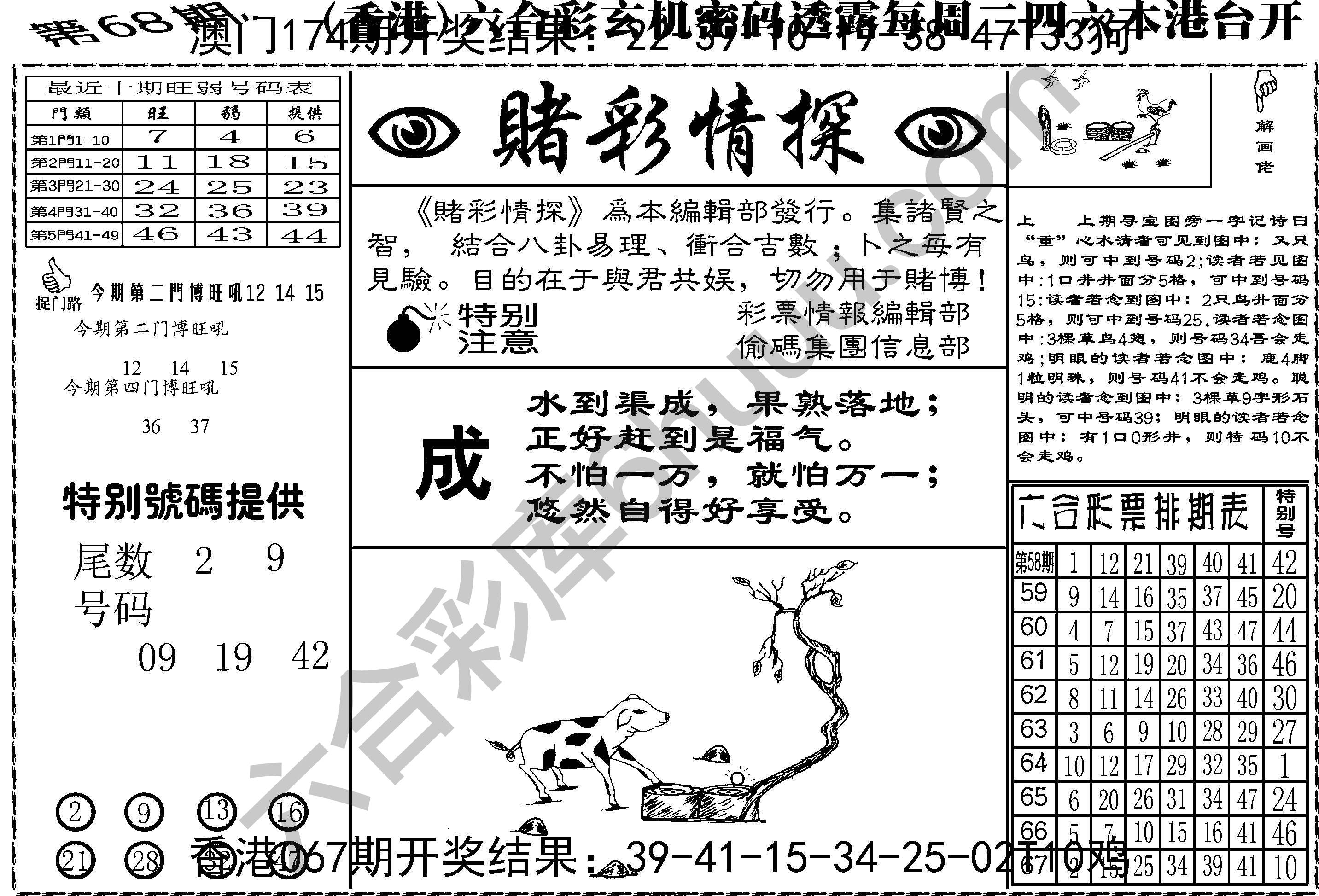 赌彩情探
