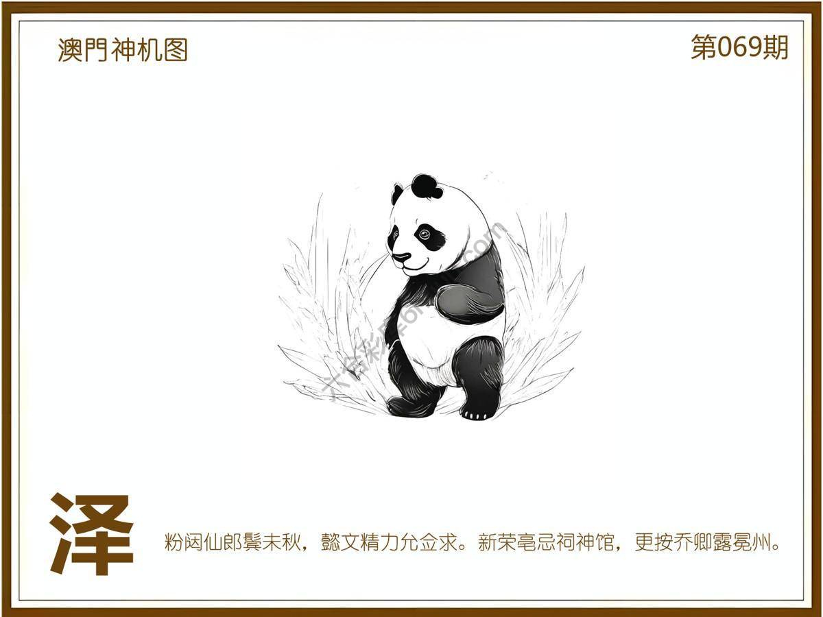 澳门神机图