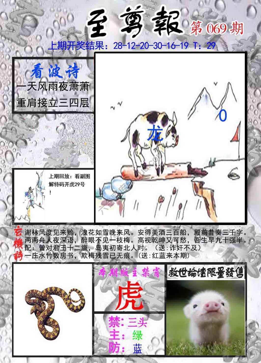 至尊报