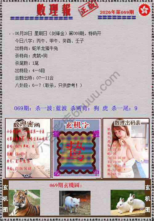 数理报