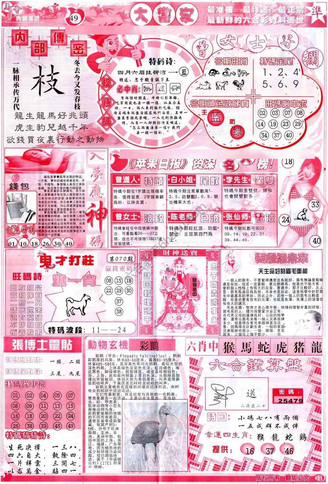 大当家