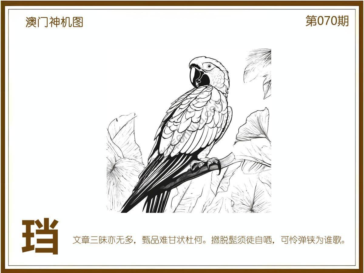 澳门神机图