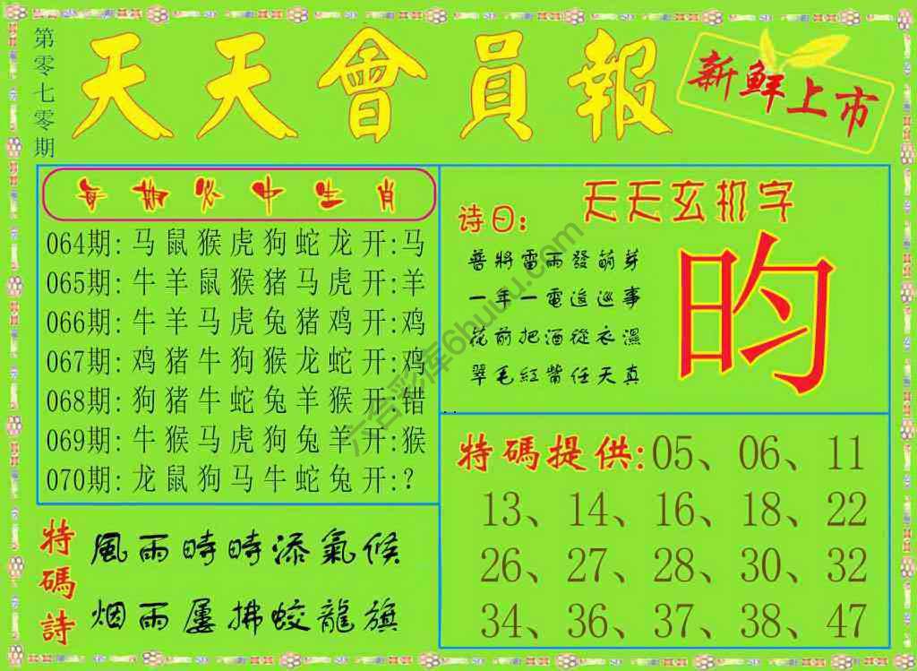 天天会员报