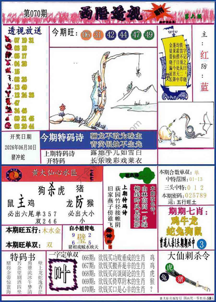 西陲透视（正版）