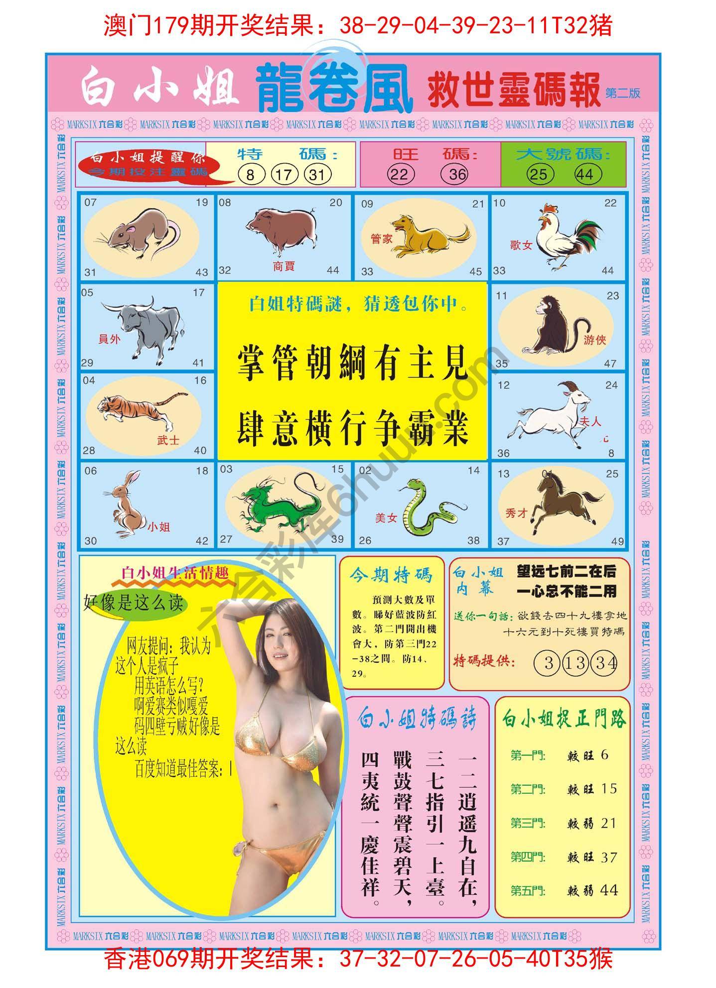 白小姐龙卷风