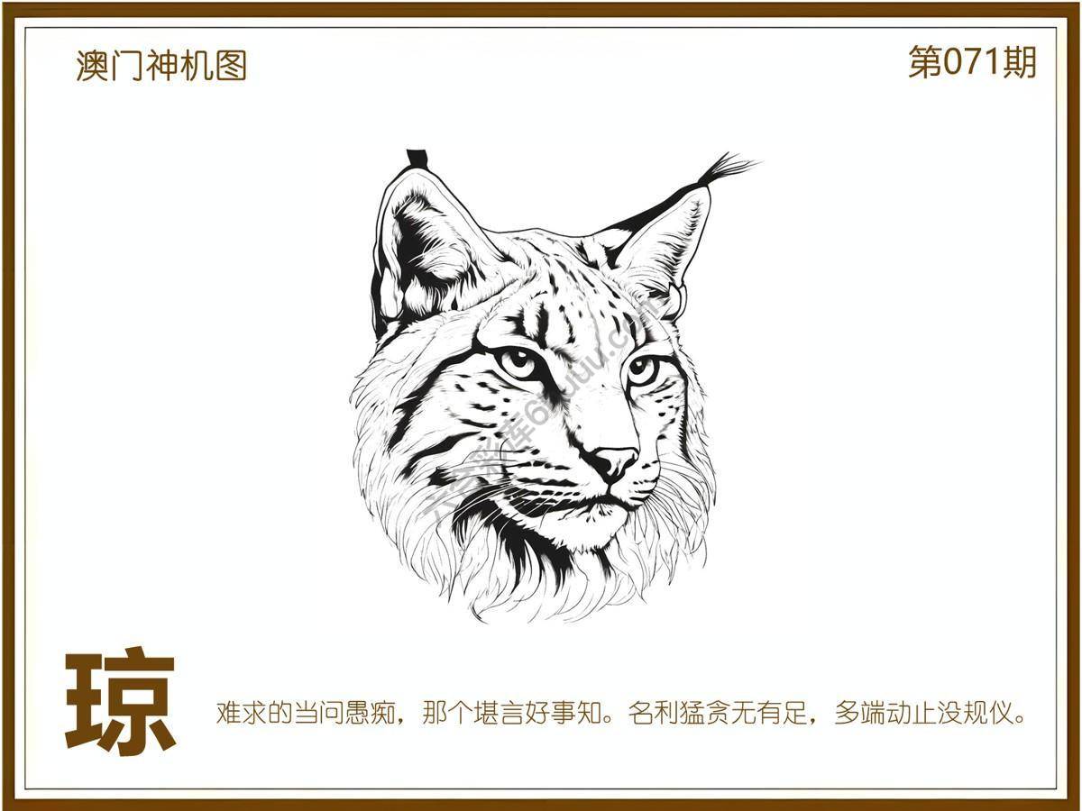 澳门神机图