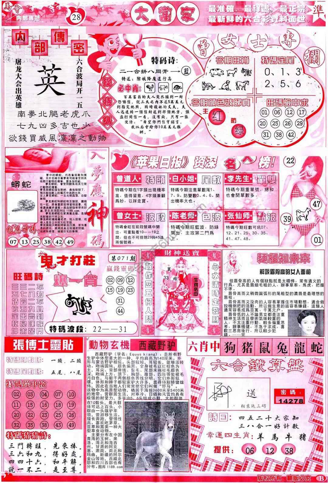 大当家