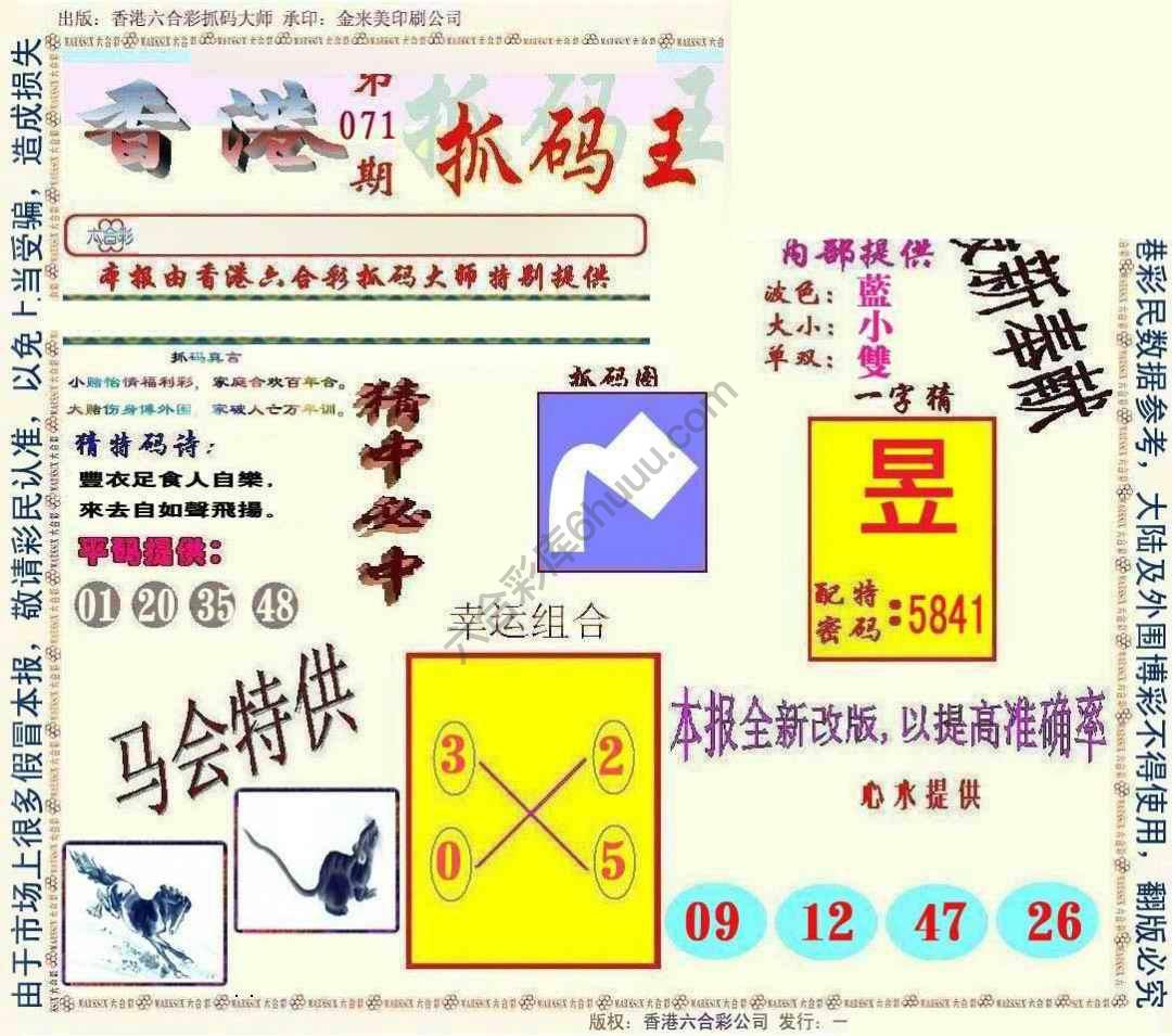 新抓码王