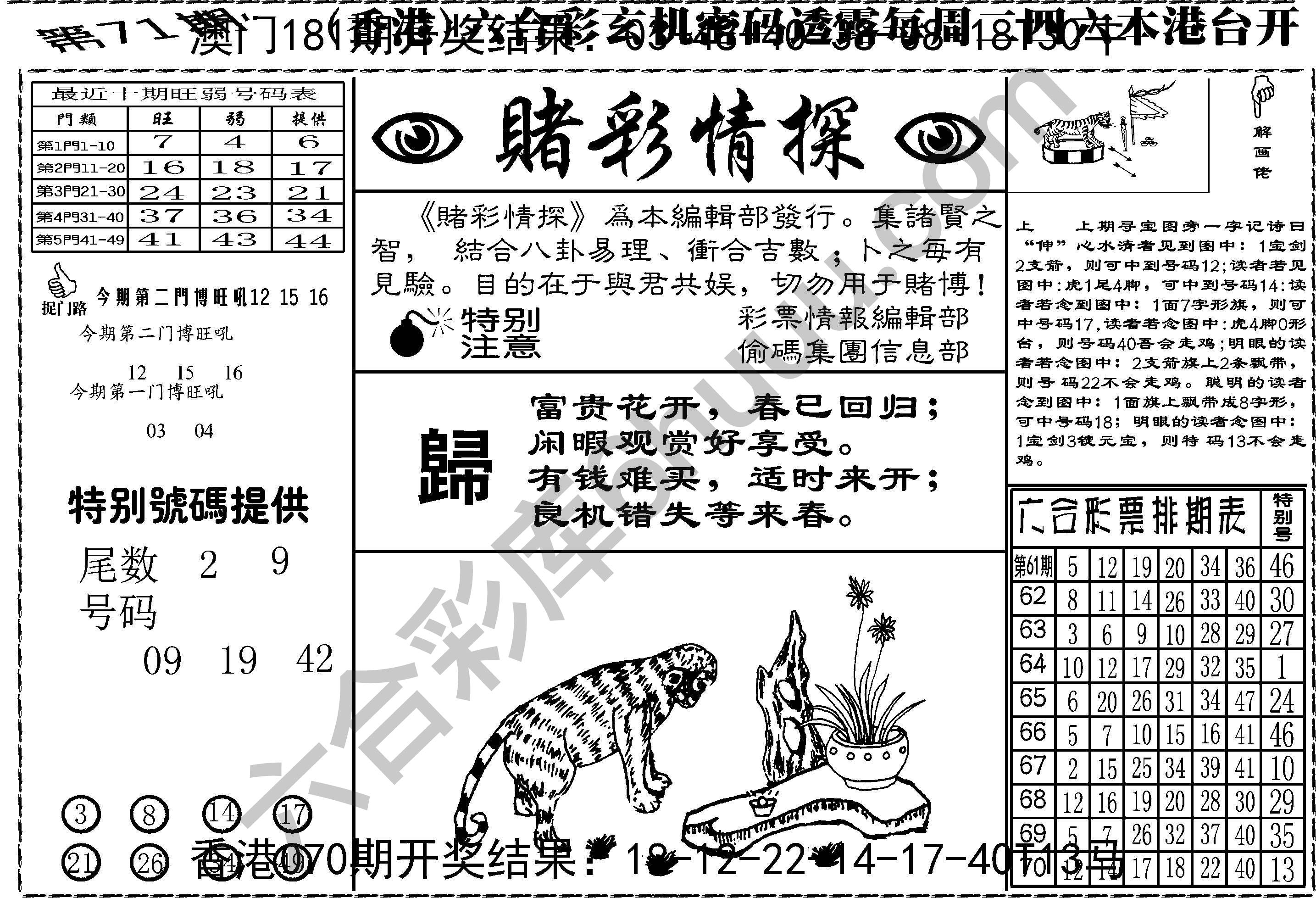 赌彩情探