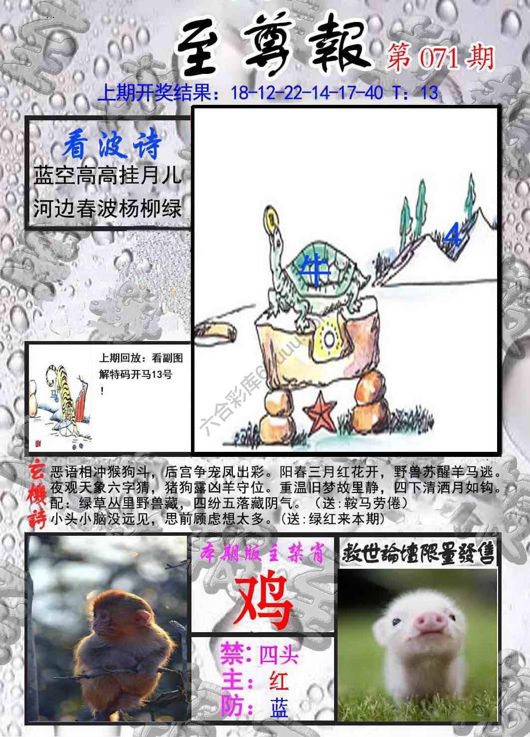 至尊报